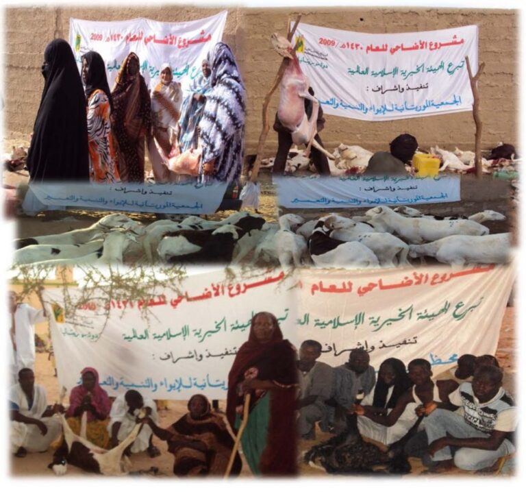 مشاريع الأضاحي